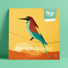 Plego 3d papirnata figura pčelarica merops apiaster 5