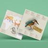 Plego 3d papirnata figura vodomar alcedo atthis 2