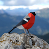 Plego 3d papirnata figura zimovka pyrrhula pyrrhula 4