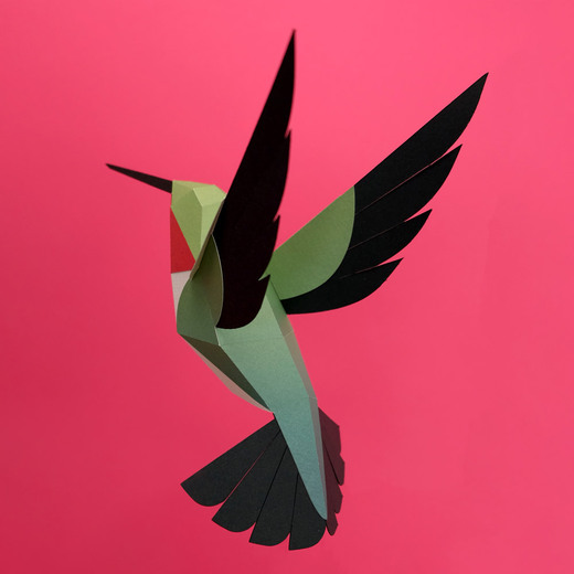 Plego 3d papirnata figura kolibirić selasphorus platyceru 6
