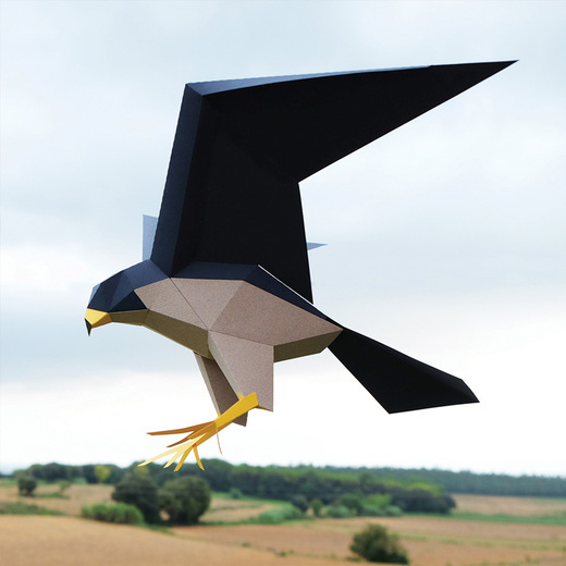Plego 3d papirnata figura sivi sokol falco peregrinus 4