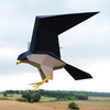 Plego 3d papirnata figura sivi sokol falco peregrinus 4