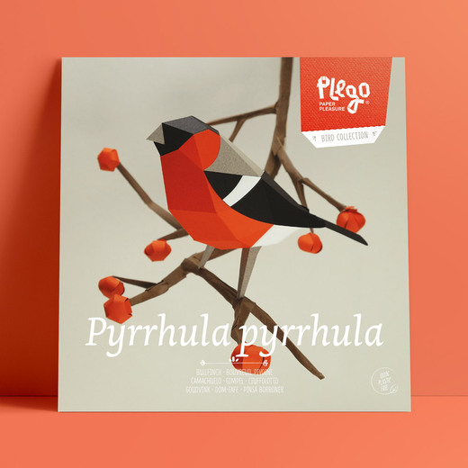 Plego 3d papirnata figura zimovka pyrrhula pyrrhula 2