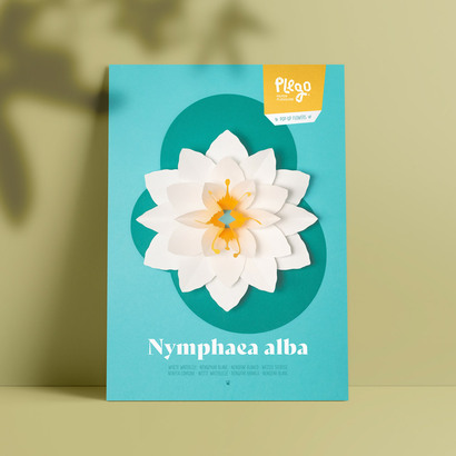 Plego 3d pop up bijeli lopoč nymphaea alba