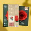 Plego 3d pop up vrtna ruža rosa centifolia 1