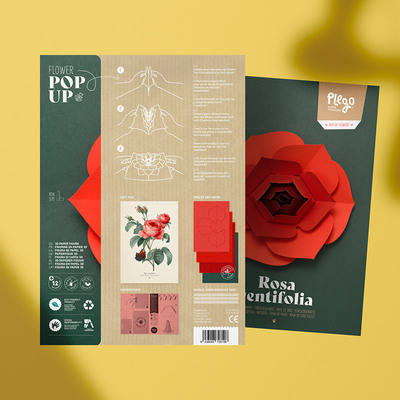 Plego 3d pop up vrtna ruža rosa centifolia 1