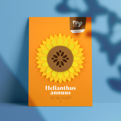 Plego 3d pop up suncokret helianthus annuus