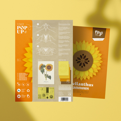 Plego 3d pop up suncokret helianthus annuus 3