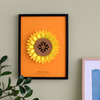 Plego 3d pop up suncokret helianthus annuus 4