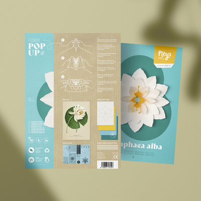 Plego 3d pop up bijeli lopoč nymphaea alba 3