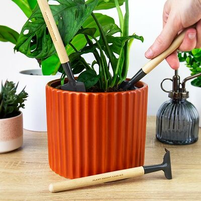 Gift republic set za održavanje biljaka plant parent 2