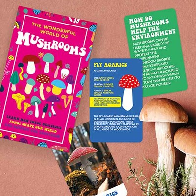 Gift republic igra the wonderful world of mushrooms 1