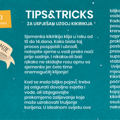 Male kućne vrtolomije kikiriki3