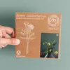 Disk za aranžiranje cvijeća flower constellation m3