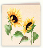 Zintenz čestitka sunflower