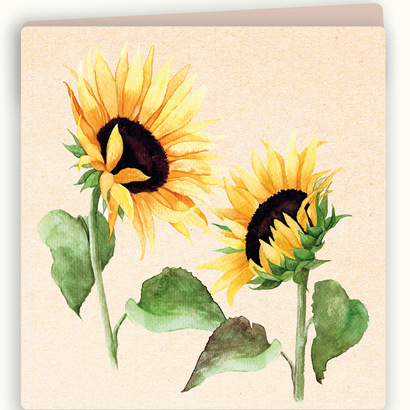 Zintenz čestitka sunflower