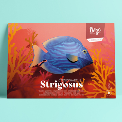 Plego 3d papirnata figura riba kirurg (strigosus)