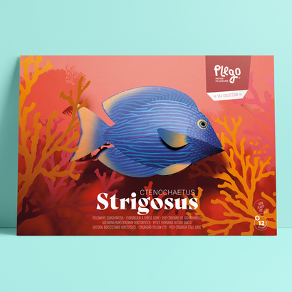 Plego 3d papirnata figura riba kirurg (strigosus)