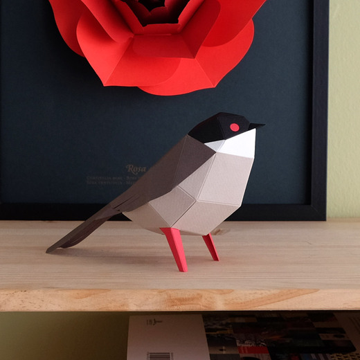 Plego 3d papirnata figura crnoglava grmuša (sylvia melanocephala)2