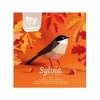 Plego 3d papirnata figura crnoglava grmuša (sylvia melanocephala)
