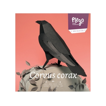 Plego 3d papirnata figura gavran (corvus corax)
