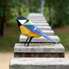 Plego 3d papirnata figura velika sjenica (parus major)2