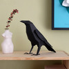 Plego 3d papirnata figura gavran (corvus corax)2