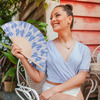 Fisura lepeza blue bows 1