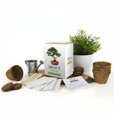 Gift republic set bonsai trees 2