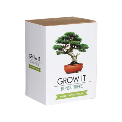 Gift republic set bonsai trees