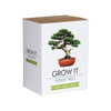 Gift republic set bonsai trees