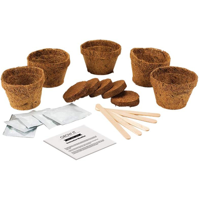 Gift republic set carnivorous plants 3
