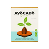 Gift republic set za uzgoj avocado