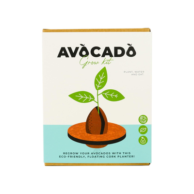Gift republic set za uzgoj avocado