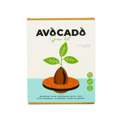 Gift republic set za uzgoj avocado