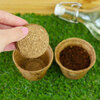 Gift republic set carnivorous plants 1