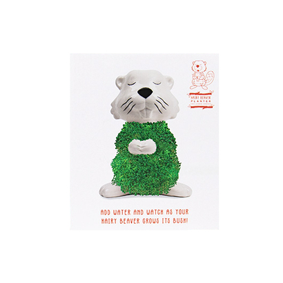 Gift republic set za uzgoj hairy beaver planter