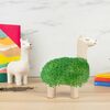 Gift republic set za uzgoj llama planter 1