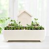 Gift republic set za uzgoj self water house herb garden 2