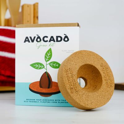 Gift republic set za uzgoj avocado 2