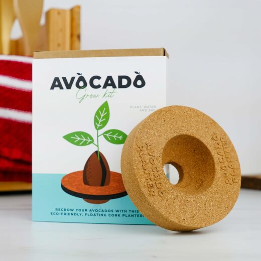 Gift republic set za uzgoj avocado 2