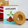 Gift republic set za uzgoj avocado 2