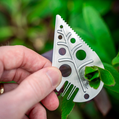 Kikkerland alat leaf foraging 2