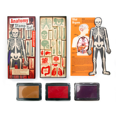 Kikkerland set pečata anatomy 3