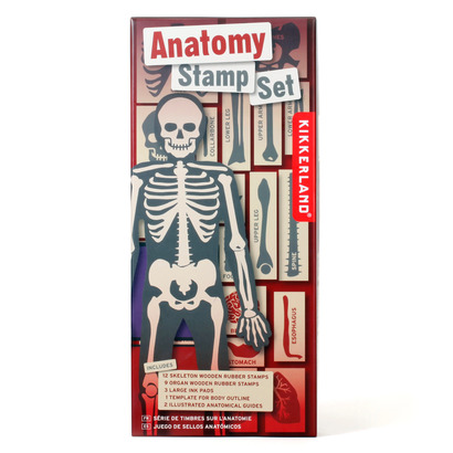 Kikkerland set pečata anatomy