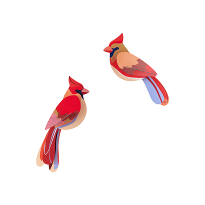 Zidni dekor garden bird cardinals