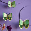Zidni dekor fern striped butterflies set od 3 kom 1