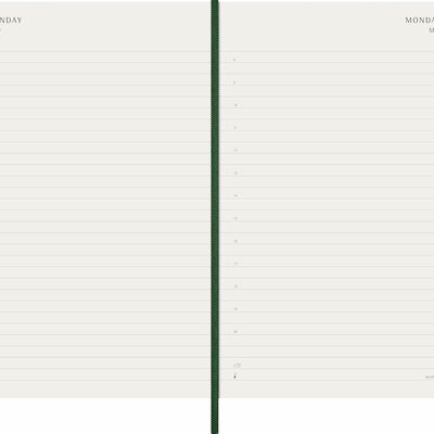 Moleskine planer dnevni meke korice 13x21 cm zeleni 20263