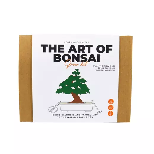 Gift republic posadite bonsai
