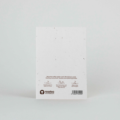 Resetea čestitka za uzgoj sobne biljke the wishes that are planted come true 1